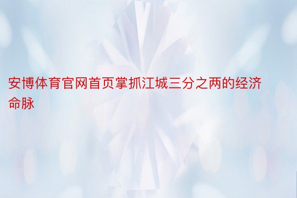 安博体育官网首页掌抓江城三分之两的经济命脉